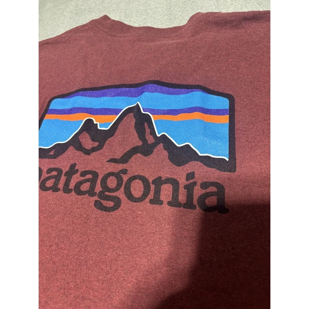 Patagonia Shirt Mens M Red Responsibili-Tee Logo Graphic 34880 Fitz Roy Horizons